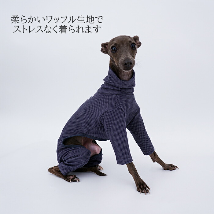 Grandma様専用☆犬服イタグレ服-