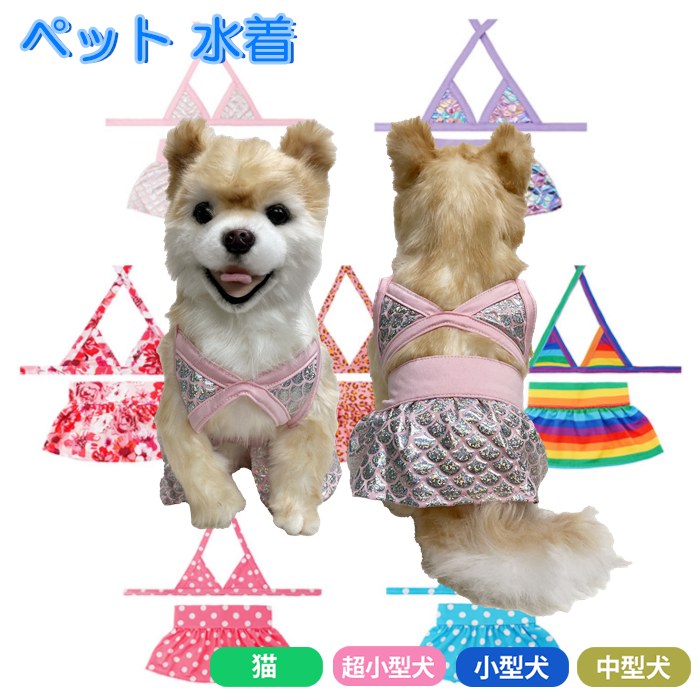 小型犬用。水遊び、スイミング用防水水着 楽天市場】【7/30限定ポイント5倍】犬用 プール ドッグプール