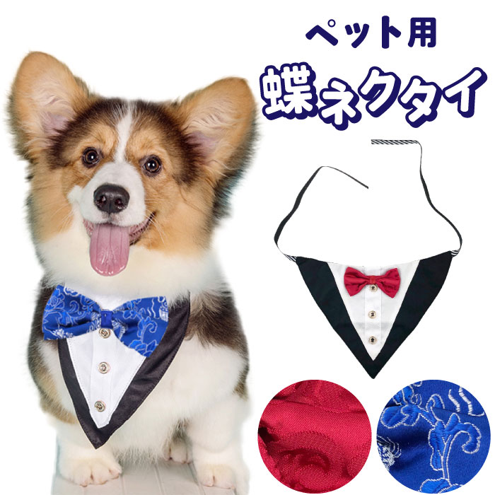 楽天市場】【送料無料 1000円ぽっきり】犬 ネックアクセサリー ネクタイ 蝶ネクタイ フレンチブルドック リボン 首輪 かわいい 猫 インスタ映え  パーティー 結婚式 正装 春 おすすめ ペット用品 誕生日 安いKM669G : French French