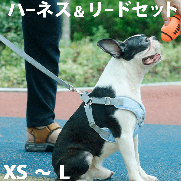 特別大特価！犬用ハーネス・リードセット 犬 ハーネス リード セット 犬用ハーネス 犬リード 小型犬 犬