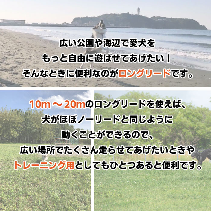 メール便不可】 犬 リード ロングリード 10m 15m 20m ドッグリード 犬用リード 40kg 小型犬 中型犬 大型犬 KM635G  pinkmanfitness.com