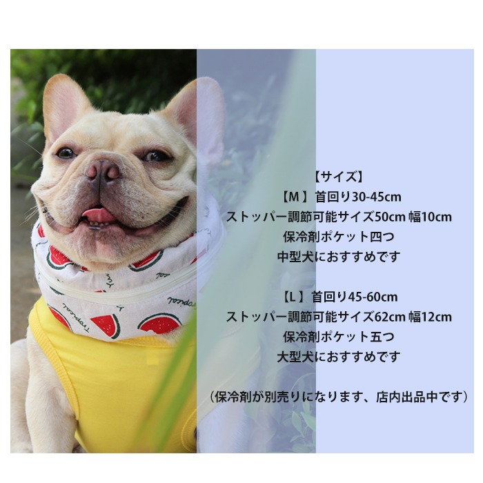 永遠の定番 犬用クールネック Mサイズ