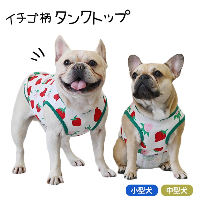 楽天市場】犬の服 いちごタンクトップ 犬 犬服 春 夏 Tシャツ タンク