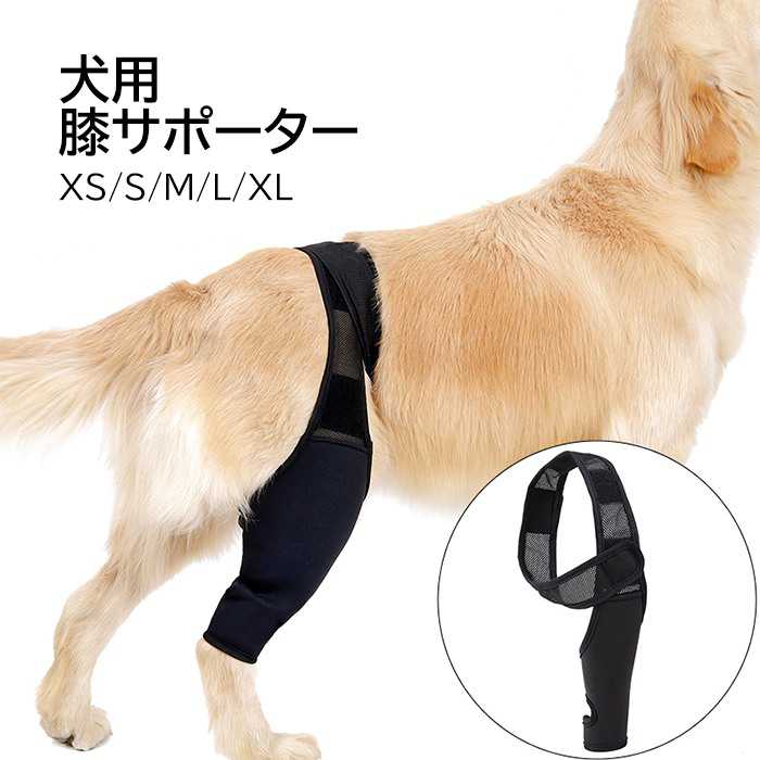 ポベオ膝蓋骨サポーター 大型犬専用 poveo ポベオ膝蓋骨サポーター右足用 3XL中大型犬