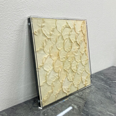 [中古]★モデルルーム見せびらかす品★【frenity】\u003cBR\u003eフレニティ\u003cBR\u003eSecret Garden\u003cBR\u003eプリザーブドフラワー\u003cBR\u003eローズ\u003cBR\u003eサクラ色\u003cBR\u003e白いこと\u003cBR\u003eS大いさ\u003cBR\u003e室内装飾雑貨\u003cBR\u003e インテリア小物・置物-その他