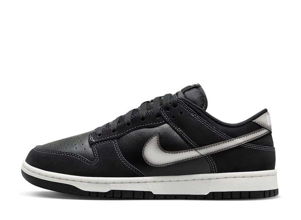 ＼1000円OFFクーポン発行／Nike ナイキ ダンク ロー エアブラシ スウッシュ ナイキ FD6923-001 メンズ スニーカー ランニングシューズ 21SN-FD6923-001