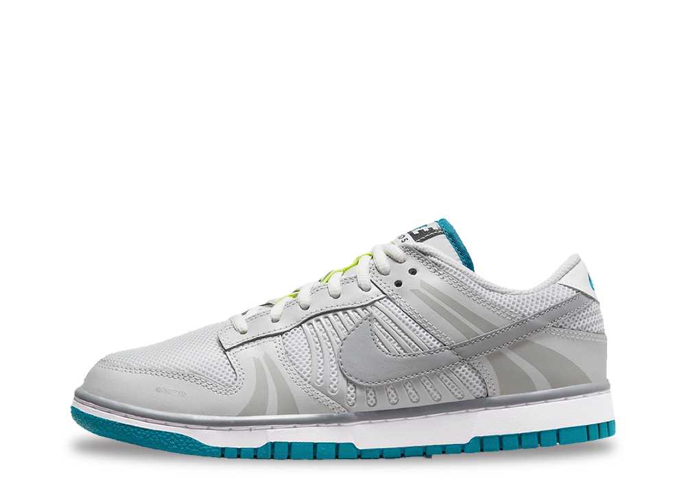 ＼1000円OFFクーポン発行／Nike ナイキ ウィメンズ ダンク ロー グレー フォグ アンド ブラスタリー ナイキ FJ5473-099 ウィメンズ レディース スニーカー ランニングシューズ 21SN-FJ5473-099