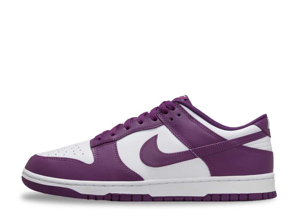 ＼1000円OFFクーポン券ふり出し／Nike ナイキ ダンク 置き目 レトロ バイオテック/白いこと ナイキ DV0833-107 メンズ スニーカー 駈けっくらシューズ 21SN-DV0833-107 メンズ靴-靴