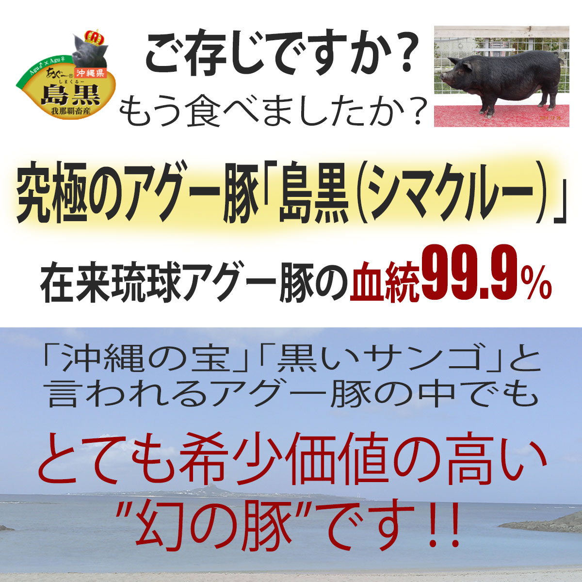 楽天市場 お中元 送料無料 フレッシュミートがなは 豚肉ギフト 焼肉 沖縄アグー豚 豚肉 我那覇畜産直送 高級豚肉 島黒 シマクルー 焼肉 あぐー豚ウィンナーセット 肩ロース バラ各300g あぐー豚ウィンナー２p 計1 0kg ギフト 内祝い 国産 沖縄産 ブタ ブランド豚