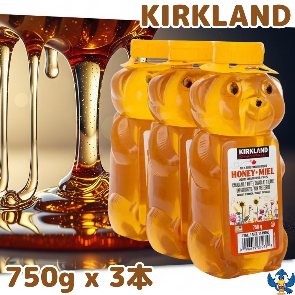 楽天市場】送料無料 カークランド はちみつ ベアージャグ 750g x 3本
