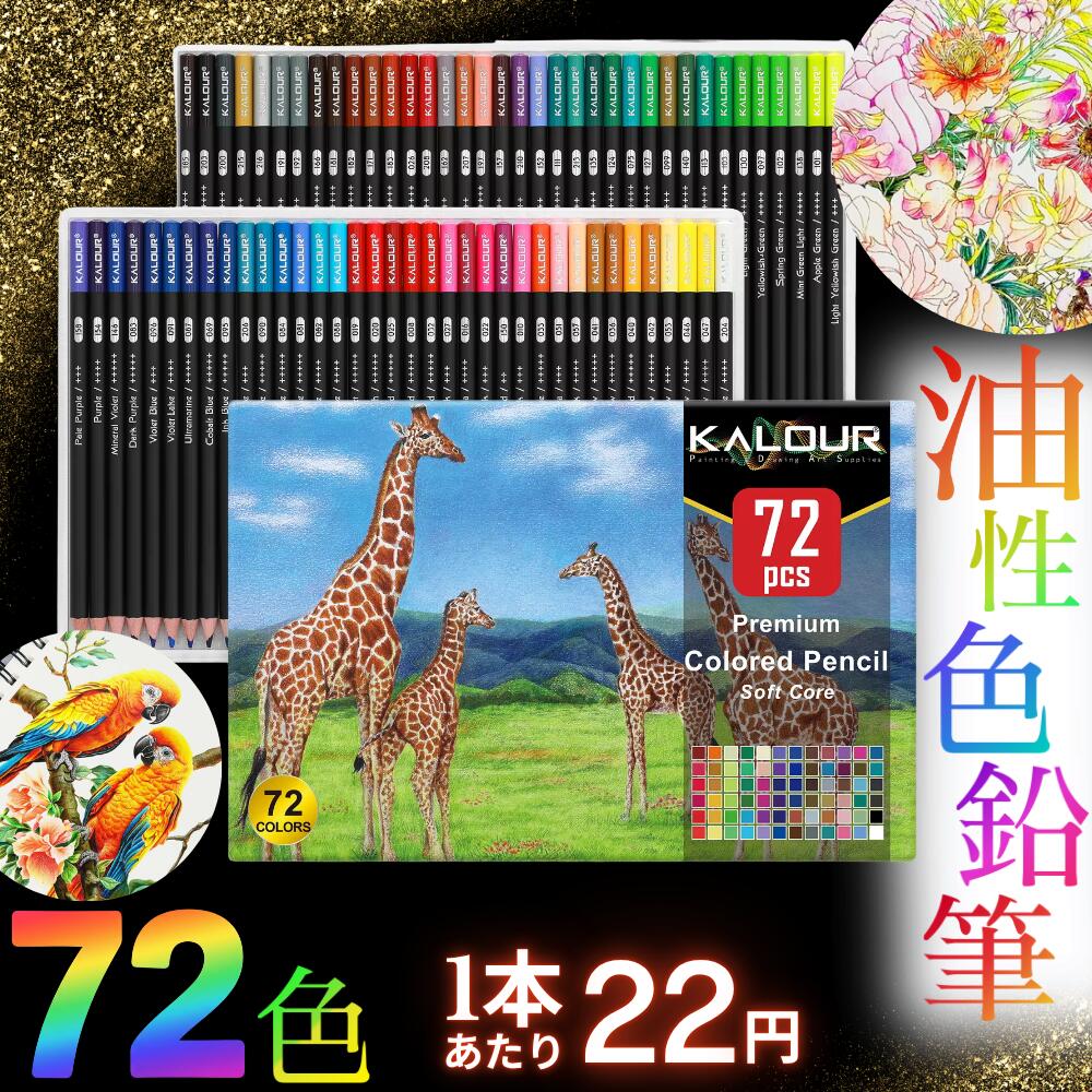 楽天市場】☆6月中エントリーでP5倍☆ 【お買得品】 色鉛筆 72色