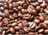 焼き立て深煎りコーヒー豆タンザニア・キリマンジャロコーヒー １Kg信州の自家焙煎コーヒー工房こだわりの珈琲豆