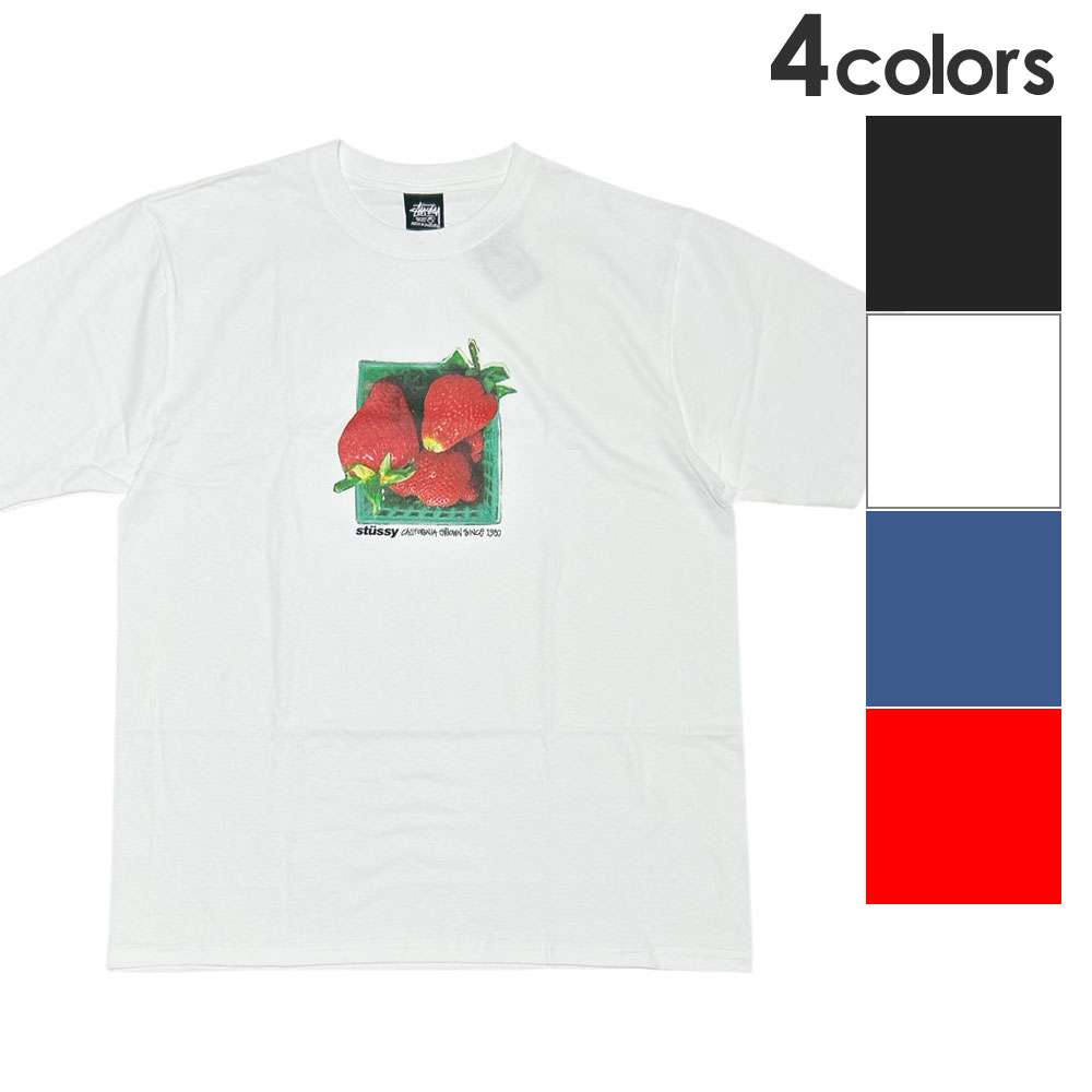 【STUSSY】★Tシャツ★ BATTERY TEE STUSSY BATTERY TEE WHITE