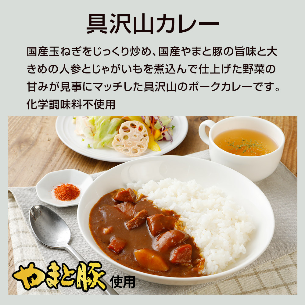 楽天市場 水谷隼カレー 0g レトルトカレー 甘口 水谷 隼 カレー 化学調味料 無添加 ギフト 常温保存 レトルト 非常食 保存食 一人暮らし 土産 常温 湯煎 温めるだけ 長期保存 日持ち ご飯のお供 食品 グルメ お取り寄せ 食べ物 プレゼント 後払い コンビニ 可能 内祝い