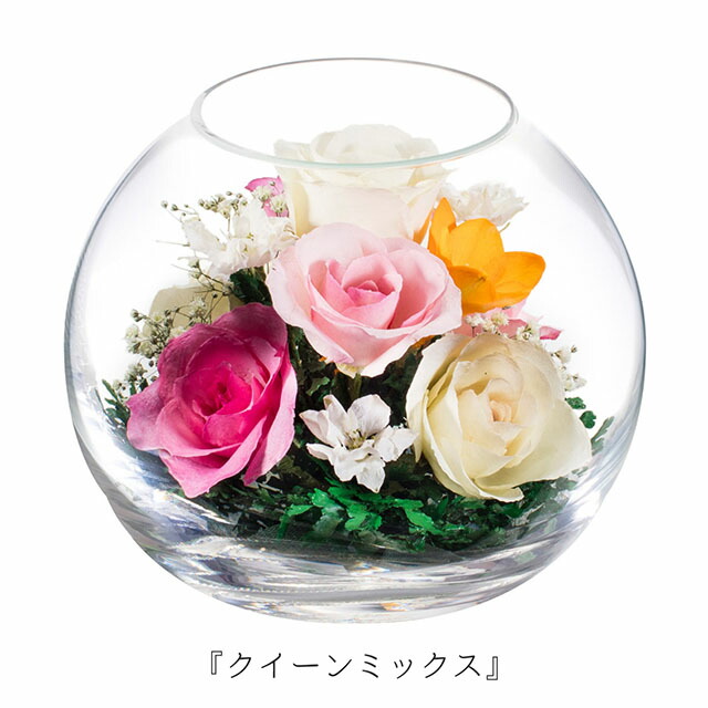 59 Off 還暦祝い 女性 名入れ ドライフラワー プレゼント 赤 プリザーブドフラワー よりも長持ち 名前入り 花 還暦 退職祝い 結婚祝い ガラスドーム おしゃれ プロポーズ 古希 お祝い 開店祝い フラワーギフト ギフト 内祝い 誕生日 記念日 サプライズ