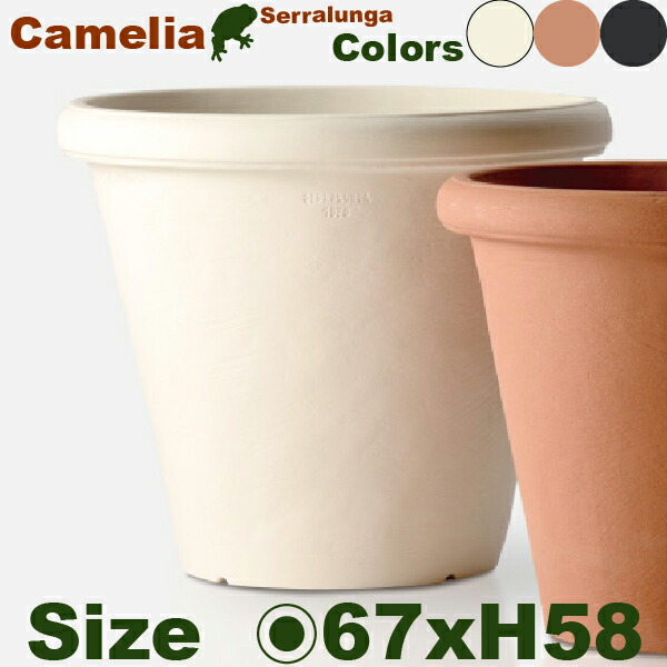 【室外相応う】MB Camelia カメリア 68（差しわたし68cm×H59糎/23号）軽さ 高耐久 商業主義設立 Serralunga セラルンガ