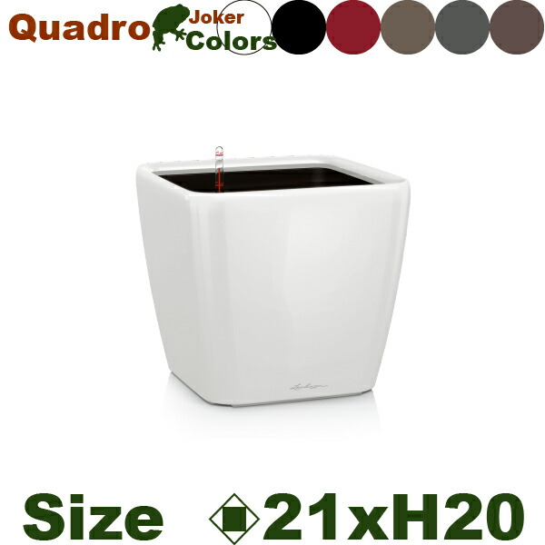 Quadro Joker クアドロ ジョーカー21(ロ21cm×H20cm）底面潅水 PP Lechuza レチューザ 商業施設