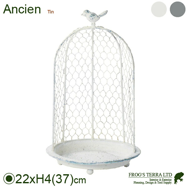 【法人宛限定商品】モワティエカージュ（直径22cmxH4cm）（穴なし）（ブリキ製 カップ ポット デコレイト 庭）