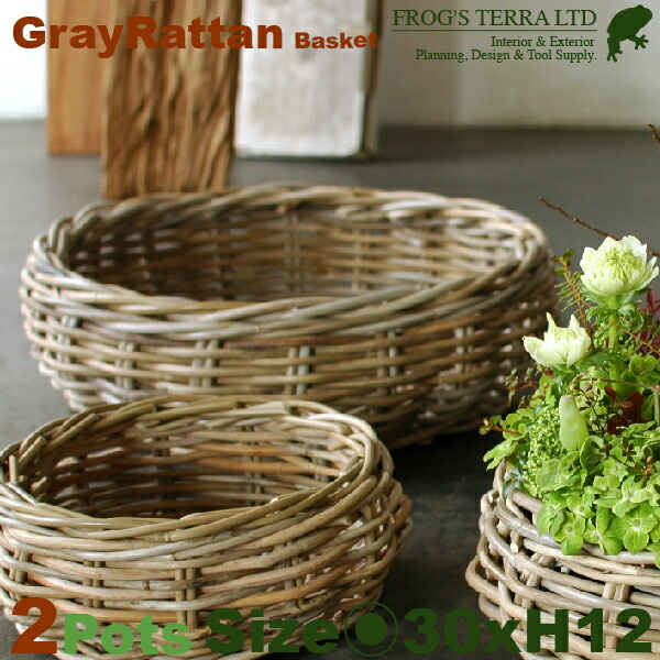 Gray Rattan Basket M ２個セット B2293（直径30cm×H12cm）（底穴なし）（ラタン/藤）（植木鉢/鉢カバー）（プランター/寄せ植え/ポット）