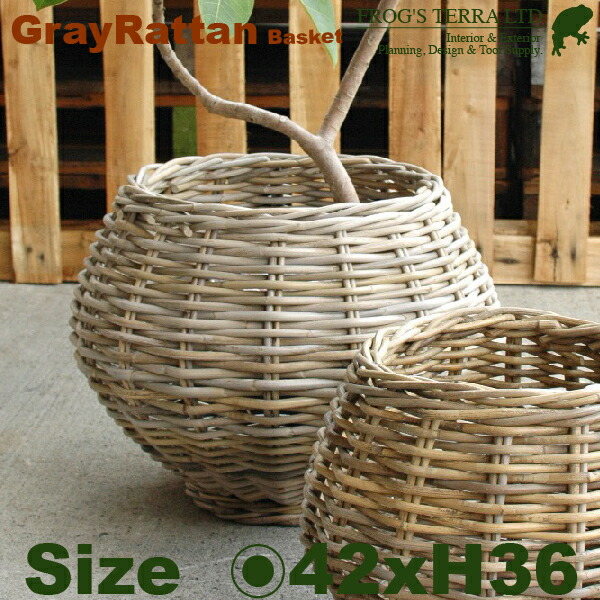 Gray Rattan Basket  M  B1246（差しわたし42cm×H36糎）（底穴なし）（ラタン/藤）（鉢/鉢取りまかなう）（プランター/寄せ植え）