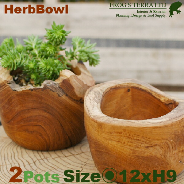 楽天市場 Herb Bowl W8703 ２個セット 直径12cm H9cm 底穴なし プランター 植木鉢 鉢 ポット 寄せ植え 観葉植物 用 カエルの庭や