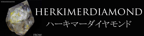 楽天市場】お得な選べる3枚セット 古代神聖幾何学 エナジーカード ( フラワーオブライフ メタトロン ツリーオブライフ セフィロトの樹 シードオブライフ  マリアの窓 セブンチャクラ トーラス チャリスウェル ）護符 四神龍 龍体文字 ヤントラ 送料無料 トーラス マルカバ ...