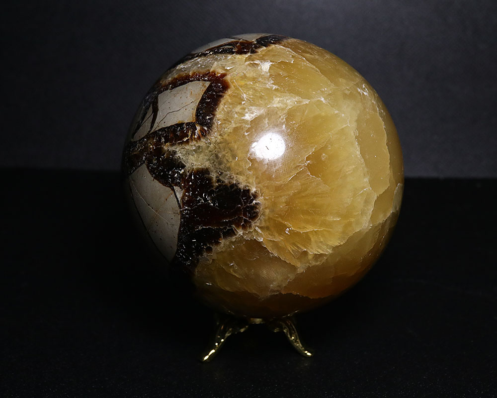 セプタリアン 特大サイズ卵 セプタリアン 特大サイズ卵