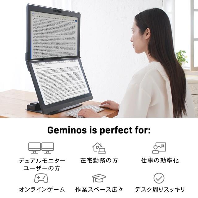 縦2画面【 Geminos GeminosX Wモニター 】 モバイルディスプレイ 24