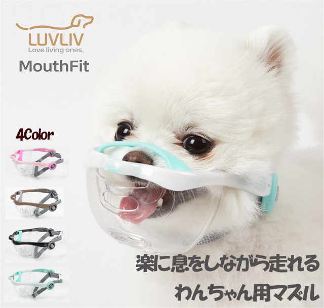 楽天市場 Mouthfit マウスフィット 犬用マズル 口輪 ワンちゃん 無駄吠え 噛みグセ キズなめ 散歩中の誤飲防止 楽に息をしながら走れるわんちゃん用マズル Fromseed