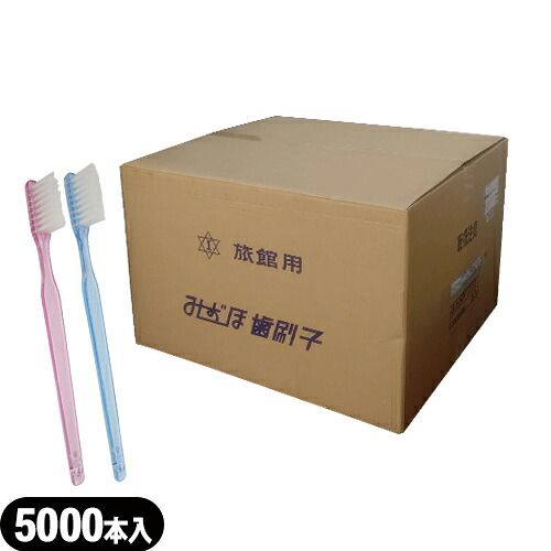 【ホテルアメニティ】【使い捨て歯ブラシ】【個包装タイプ】業務用 Refresh Time(リフレッシュタイム) インスタント歯ブラシ 歯磨き粉付 x5000本セット (カラーは当店おまかせ) - 業務用歯ブラシ。磨き粉が付着しているので、すぐに使える歯ブラシ。【DT】｜健康美容用品専門店Frontrunner