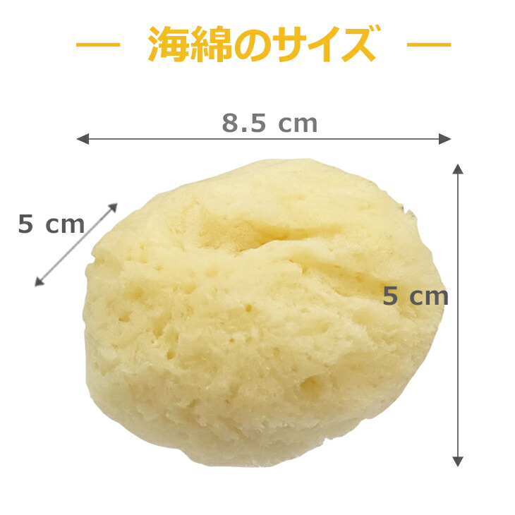 あすつく ユタカ 天然海綿スポンジ Natural Seasponge ナチュラル シースポンジ 特大サイズ 約8 5 5 5cm 30個セット お肌に優しい海からうまれた天然海綿スポンジ 完全包装でお届け致します Fucoa Cl