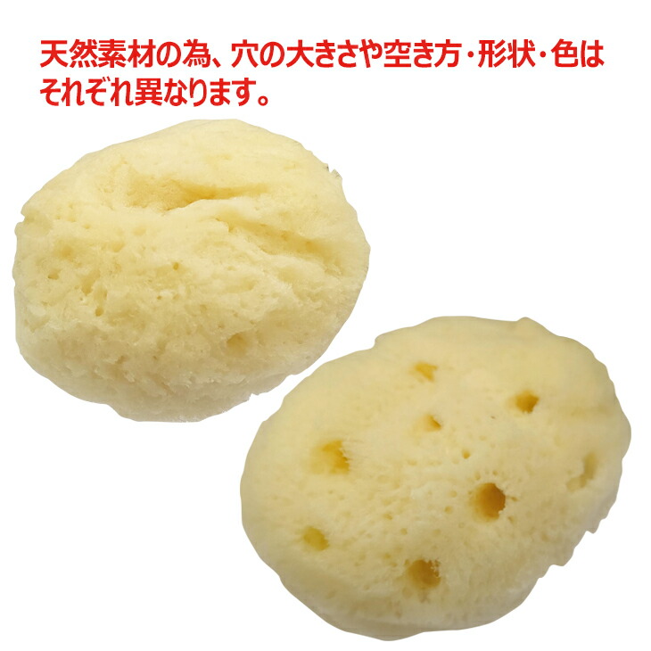 あすつく ユタカ 天然海綿スポンジ Natural Seasponge ナチュラル シースポンジ 特大サイズ 約8 5 5 5cm 30個セット お肌に優しい海からうまれた天然海綿スポンジ 完全包装でお届け致します Fucoa Cl