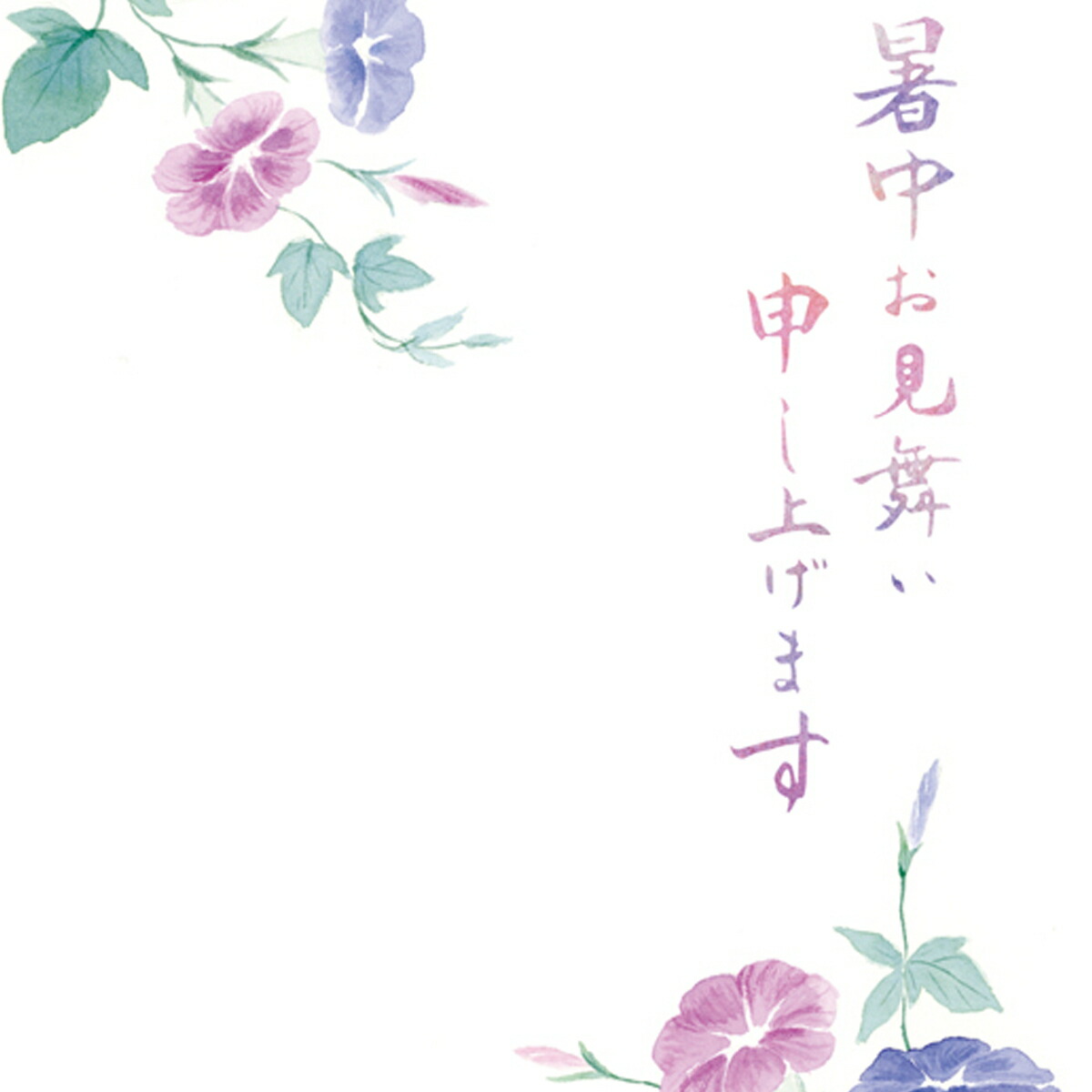 楽天市場 サマーポストカード 水彩朝顔 Npc 279 Frontia 楽天市場店