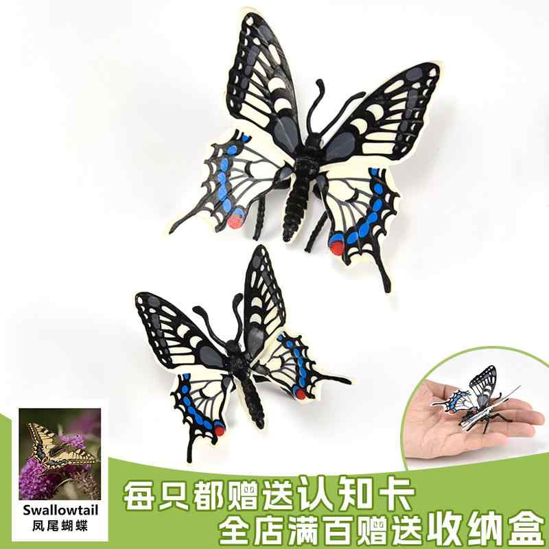 楽天市場】ミュージアム 昆虫フィギュア紫アゲハ アゲハ蝶 : ソプラノ