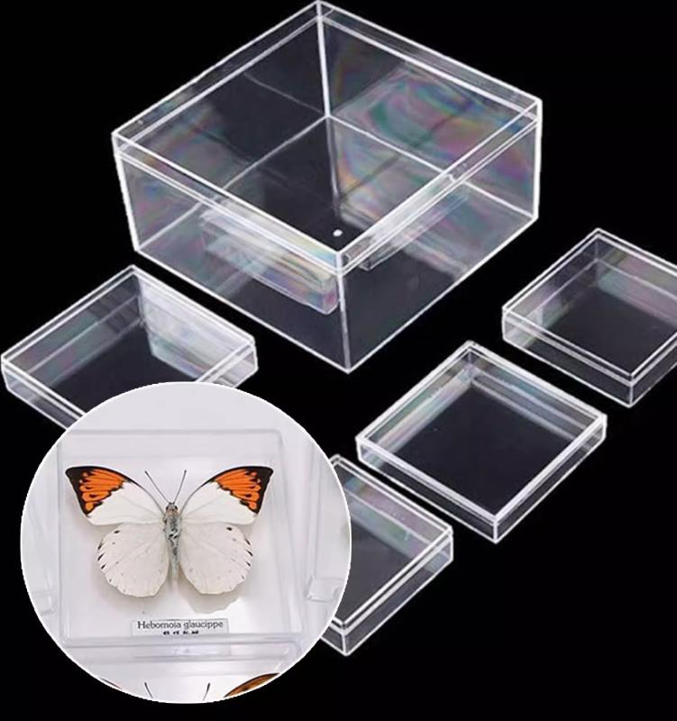 楽天市場】標本ケース 中厚ケース 標本箱 コレクション ガラス 標本