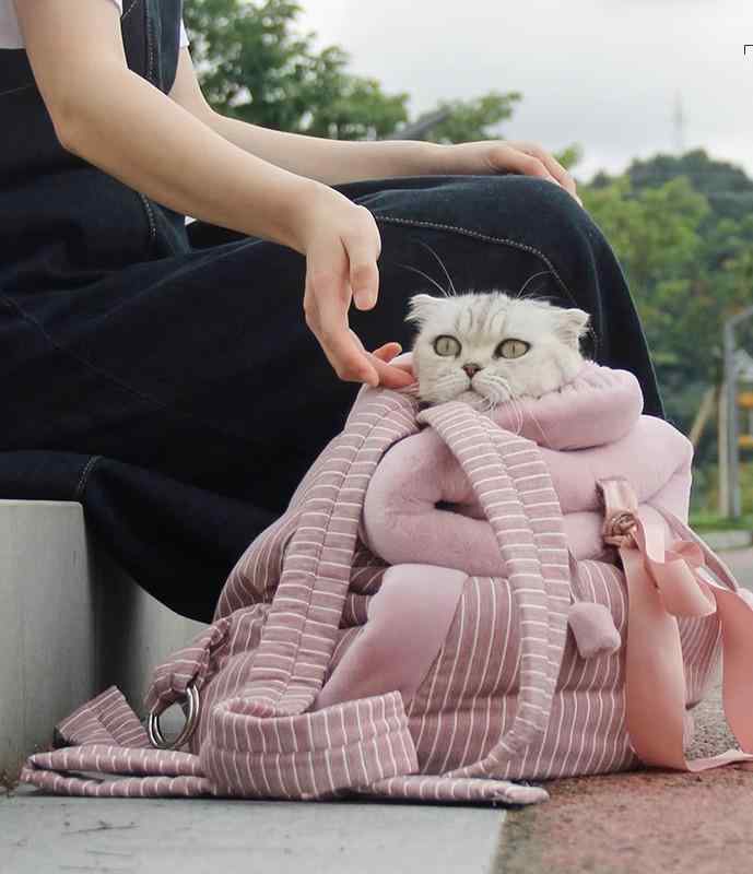 猫 民族大移動 御徒面子 背嚢 いだき締める紐 うしろ側差し交わす 出かける用 お出かけ 旅する 愛玩動物設備 シュロの葉 衣嚢 サクラ色 青 可愛らしい 縞模様