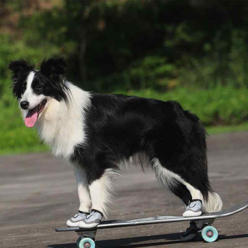 ドッグシューズ 中大型犬用 ゴールデンレトリバー サモエド ハスキー ボーダーコリー コーギー フレンチブルドッグ 滑り止め 通気性 アウトドア 脱げにくい グレー