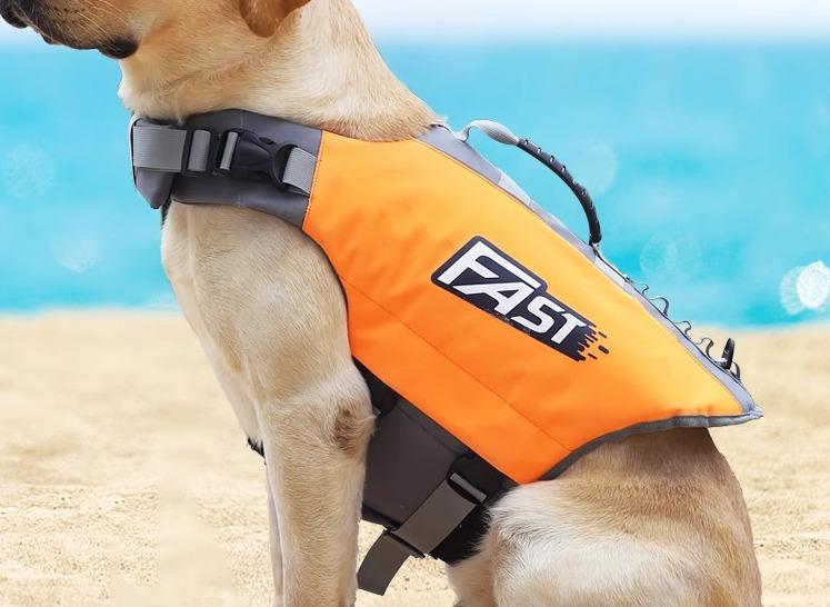 ライフジャケット 犬用 浮き輪 ペット用品 面ファスナー バックル 長さ調節 持ち手 リード取付可 水遊び ビーチ 通気性 カジュアル 大きいサイズ 英字 サメ オレンジ 緑 赤