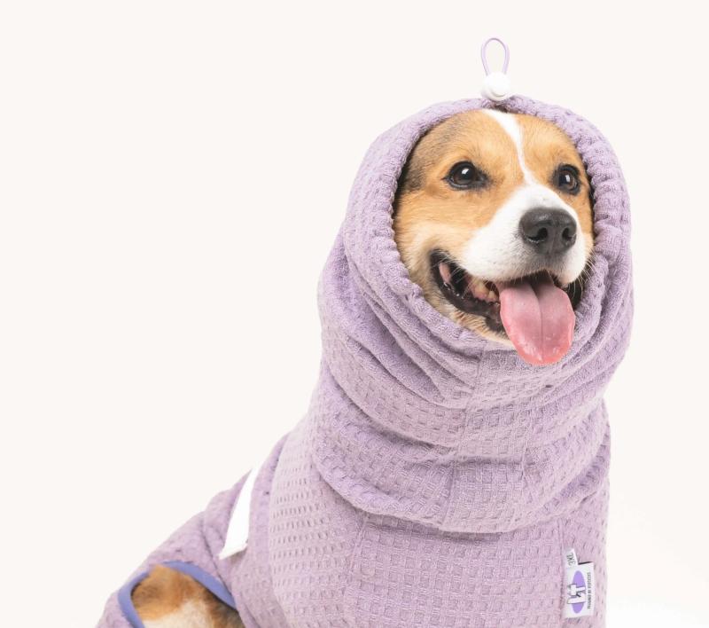 犬 バスローブ 愛玩動物 吸水 速乾 防臭 西洋手ぬぐい 水泳ぎ 浴する 服 御召しもの 今めかしい 夏 体拭き お風呂売り上げ高 雨の日 面チャック バックル 調節する 吊りひもストッパー 無地 分かりやすい 紫