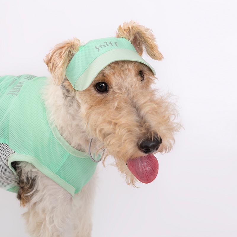 犬 日除け サンバイザー 暑さ 紫外線 熱中症 夏バテ 日射病 予防 対策 紐 つば 耳出し 通気性 メッシュ 眩しさ軽減 ドッグウェア ペット 用品 猫 小型 かわいい お散歩 お出かけ アウトドア ピンク 緑 黄色 バイカラー