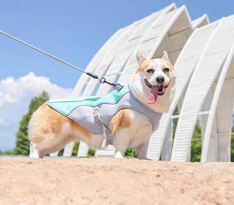 ペット 夏服 犬 通気性 コーギー フレンチブルドック ひんやり 涼しい 青 緑 ピンク カジュアル シンプル 普段使い おでかけ 小型 大きいサイズ 暖かい 秋冬 メッシュ 吸収性 バックル 濡らす 簡単