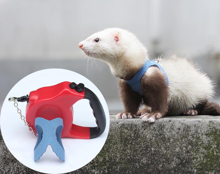 フェネットボール 馬具 愛くるしげ 愛玩動物 伸縮 引っ張ること 縄索 ほっつき歩く 噛みつき 押しとどめる 露天 形づくる 分かりやすい ロング 茶 黒 サクラ色 小毛の荒物
