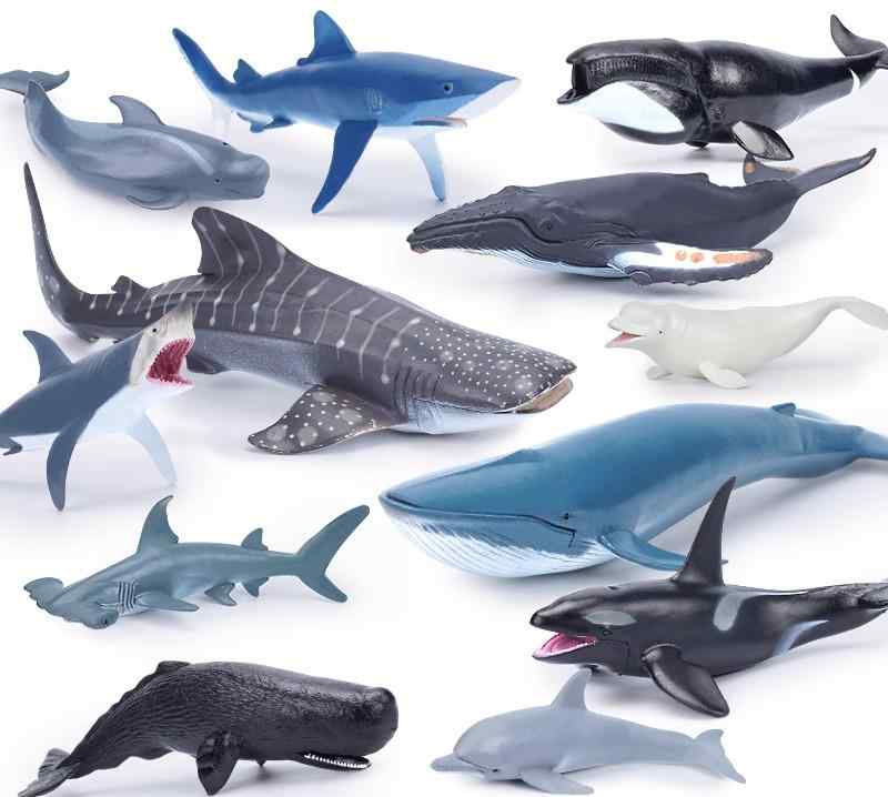 海洋生物 フィギュア セット イルカ ホホジロザメ シャチ おもちゃ 子供 男の子 女の子 プラスチック ミニチュア コレクション 装飾 知育玩具 リアル かっこいい プレゼント 誕生日
