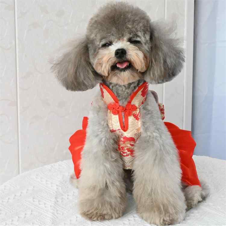 ペット服 女の子 小型犬 猫用 新年 お正月 晴れ着 プリンセス チャイナドレス ワンピース かわいい 礼装 パーティー 紫 赤