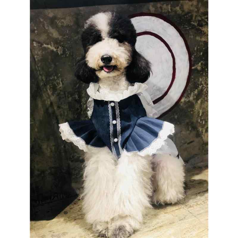 犬服 ドッグウェア 大型犬 小型犬 中型犬 綿原料品 ジーンズ出どころ 妃殿下 衣装 お召しもの 愛くるしげ 今めかしい 心地よい おほっつき歩く 普段使い走り もの柔らか  着心地好いたらしい