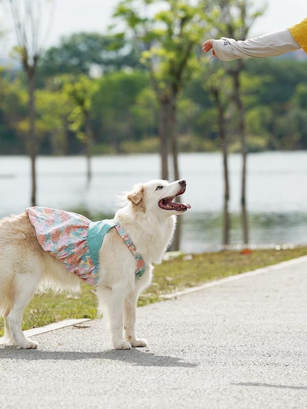 犬服 中型犬 大型犬 サモエド 柴犬 春夏 ベスト タンクトップ ワンピース スカート シャツ 綿 コットン ペアルック お揃い 普段使い お散歩