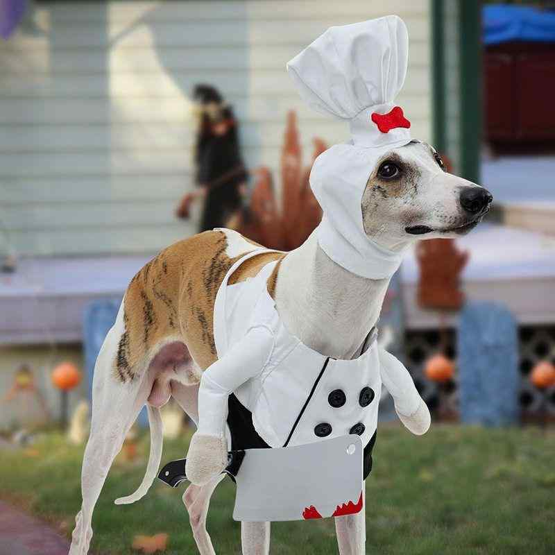 ペット服 犬 猫用 ハロウィン 仮装 フレンチブルドッグ ビションフリーゼ おもしろ かわいい シェフ 料理人 コスチューム 変身 二足歩行 フェイクナイフ付き 衣装 セットアップ 白 秋 イベント パーティー