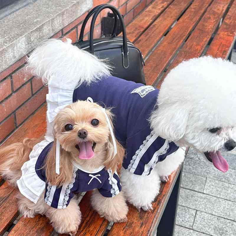 ドッグウェア 小型犬 マルチーズ ビションフリーゼ スウェット トレーナー ワンピース ドレス バレエ風 スポーツ 春物 お散歩 普段使い カジュアル 白 ネイビー ワインレッド
