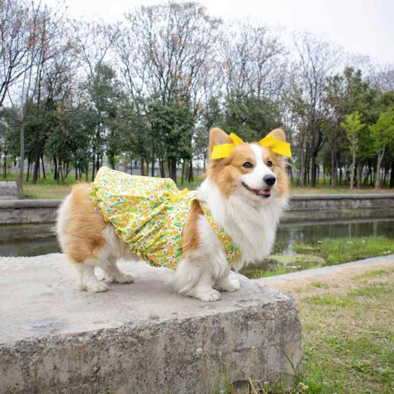 犬服 ドッグウェア 夏用 薄手 軽量 接触冷感 かわいい リボン プリンセスドレス フォーマルワンピース ポリエステル 普段使い お出かけ 柴犬 コーギー