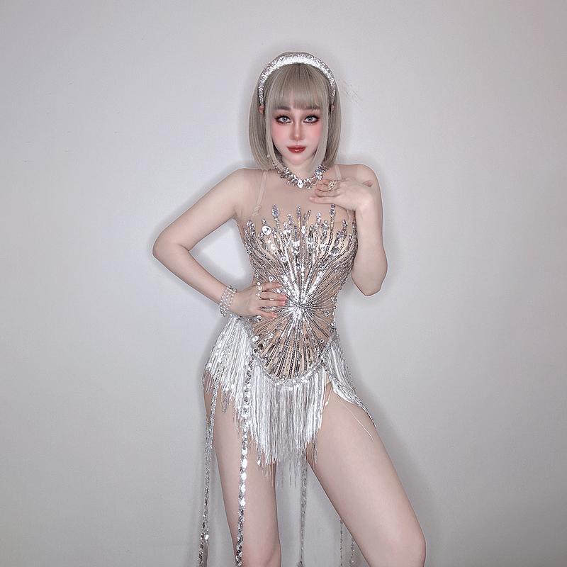 ダンスウェア レディース ラテンダンス ステージ衣装 発表会 練習着 三角ショーツ セクシー スタイルアップ 細見え メッシュ シースルー 透け感 ラインストーン フリンジ ヒップハング ポリウレタン スキンカラー ゴールド シルバー 7,959円